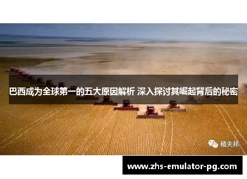 巴西成为全球第一的五大原因解析 深入探讨其崛起背后的秘密