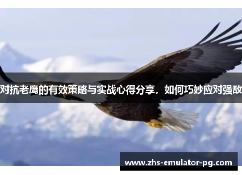 对抗老鹰的有效策略与实战心得分享，如何巧妙应对强敌