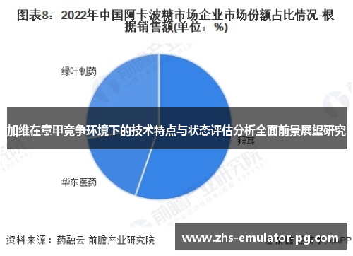 加维在意甲竞争环境下的技术特点与状态评估分析全面前景展望研究